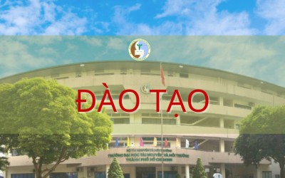 Giáo trình - Bài giảng